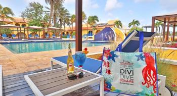 Hotel Divi Flamingo Beach Resort En Casino 3