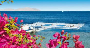 Hotel Domina Coral Bay Aquamarine 3