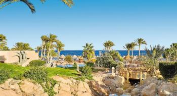 Hotel Parrotel Beach Resort 4