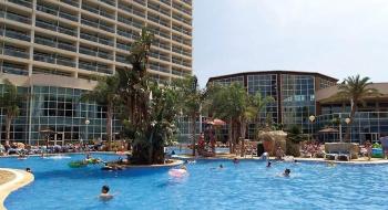 Hotel Flamingo Oasis 3