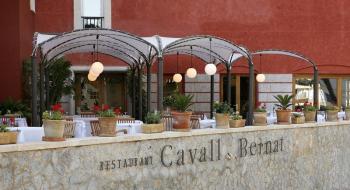 Hotel Cala Sant Vicenc 4