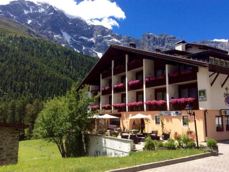 Hotel Alpina 1