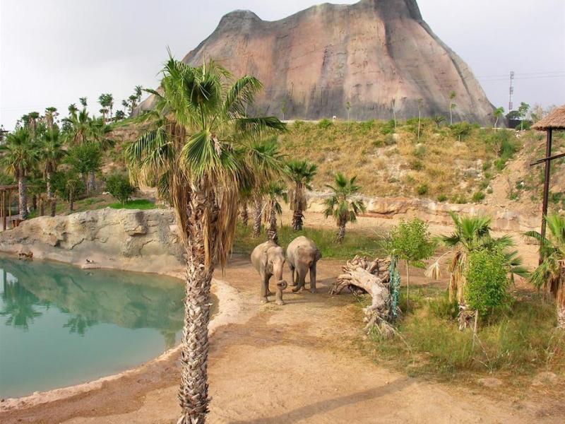 Hotel Magic Natura Animal Waterpark en Polynesian Resort